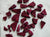 Freeze Dried Beetroot Slice